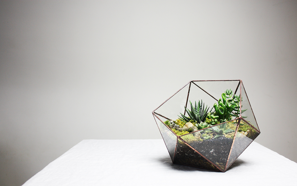 Top 5 Reasons Why You Need Terrarium Making ASAP | Epic Workshops Singapore