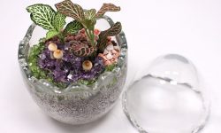 EGG TERRARIUM EGG TERRARIUM